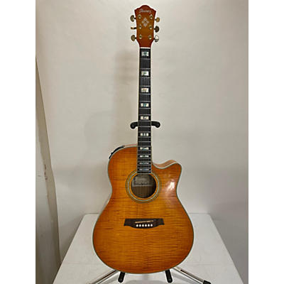 Ibanez AEF30E Acoustic Electric Guitar