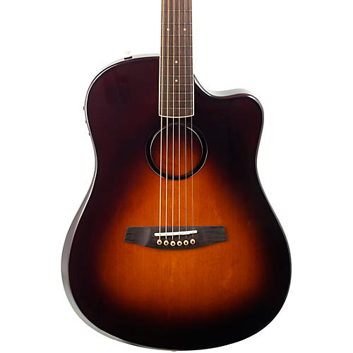 LR Baggs AEG-1 Sitka Spruce Dreadnought Acoustic-Electric Guitar Condition 2 - Blemished Sunburst 197881217389