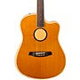 LR Baggs AEG-1 Torrefied Sitka Spruce Dreadnought Acoustic-Electric Guitar Natural