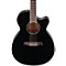 AEG10II Cutaway Acoustic-Electric Guitar Level 1 Black