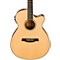 AEG10II Cutaway Acoustic-Electric Guitar Level 2 Gloss Natural 888365466392