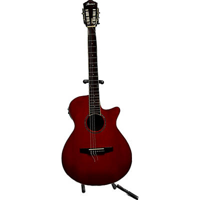 Ibanez AEG10NII Classical Acoustic Electric Guitar