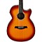 AEG18II Cutaway Acoustic Electric Guitar Level 2 Antique Violin Sunburst 888365700076