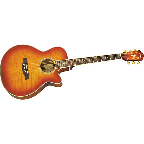 AEG20E Flamed Sycamore Top Acoustic-Electric Guitar