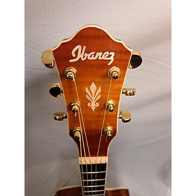 Ibanez AEG20II Acoustic Electric Guitar