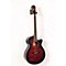 AEG20II Flamed Sycamore Top Cutaway Acoustic-Electric Guitar Level 3 Transparent Red Sunburst 888365353937