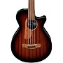 Ibanez AEGB24FE Fretless Auditorium Acoustic-Electric Bass Guitar - Mahogany Sunburst