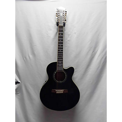 Ibanez AEL2012E 12 String Acoustic Electric Guitar
