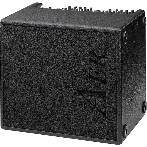 AER Domino 2A 100W 2x8 Acoustic Guitar Combo Amp