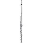 Open-Box Allora AFL-250 Student Series Flute Condition 2 - Blemished Offset G, C-Foot 197881178079