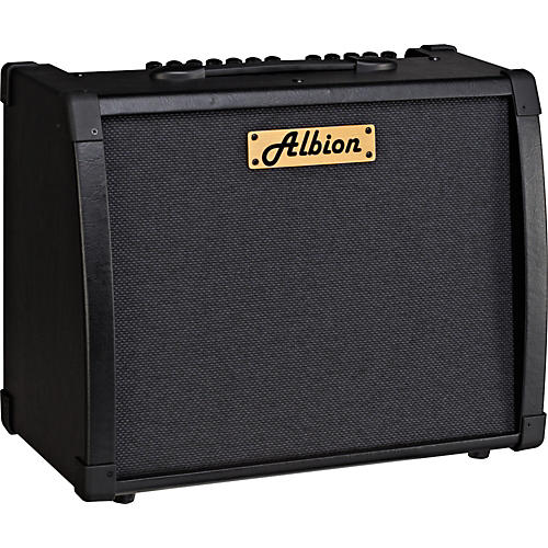 AG Series AG80R 80W Guitar Combo Amp