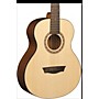 Washburn AGM5K Apprentice Series G-Mini Acoustic Guitar