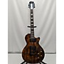 Used Agile AL2000 Solid Body Electric Guitar TIGER FLAMED MAPLE