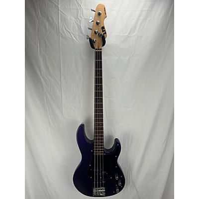ESP AP204 Electric Bass Guitar