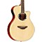 APX500III Thinline Cutaway Acoustic-Electric Guitar Level 2 Natural 190839130631