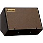 Friedman ASM-10 500W 1x10 Bi-Amp Powered Guitar Monitor