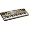 AT-3 Oriental/Middle Eastern Keyboard Level 1 61 Key Portable Keyboard
