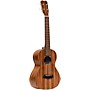 Open-Box Islander AT-4 Acacia Traditional Tenor Ukulele Condition 2 - Blemished Natural 197881446765