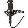 Open-Box Audio-Technica AT2050 Multi-Pattern Large-Diaphragm Condenser Microphone Condition 1 - Mint