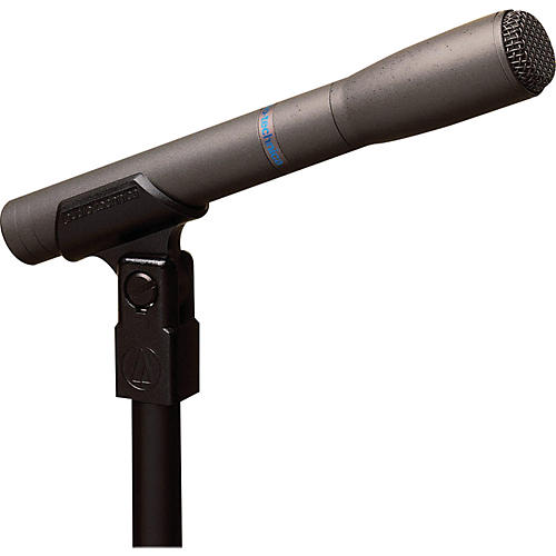 AT8010 Omnidirectional Condenser Microphone