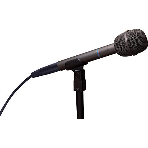 AT8031 Handheld Cardioid Condenser Microphone