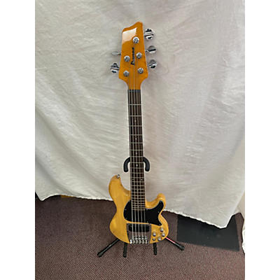 Ibanez ATK-305 Electric Bass Guitar