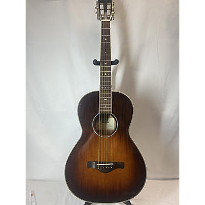 Ibanez AVN10 Acoustic Guitar