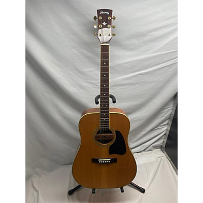 Ibanez AW100 Acoustic Guitar