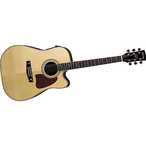 AW300CE A/E Guitar