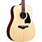 AW535NT Artwood Solid Top Dreadnought Acoustic Guitar Level 2 Gloss Natural 888365745473