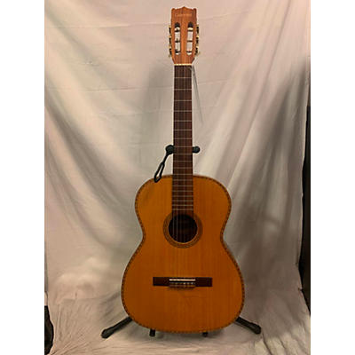 Giannini AWN 300 Acoustic Guitar