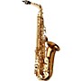 Yanagisawa AWO2  Alto Saxophone Bronze