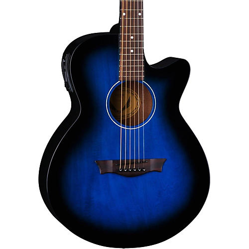 AXS Performer Acoustic-Electric Guitar