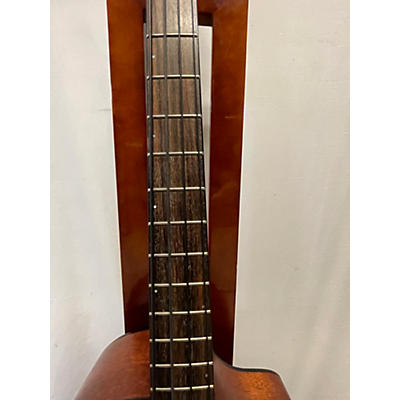 Breedlove Abj250 Acoustic Bass Guitar