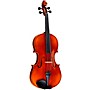 Ren Wei Shi Academy II Series Violin Outfit 1/4