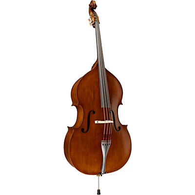 Ren Wei Shi Academy Series Double Bass Outfit