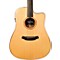 Acero D11-CE Acoustic-Electric Guitar Level 2 Regular 888365731001