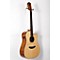 Acero D11-CE Acoustic-Electric Guitar Level 3 Regular 888365811123