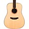 Acero D11-E Acoustic-Electric Guitar Level 2 Natural 888365799926