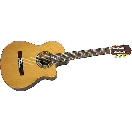 Acoustic-Electric Classical Guitar