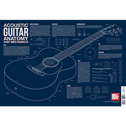 Acoustic Guitar Anatomy and Mechanics Wall Chart
