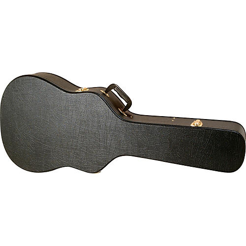 Acoustic Guitar Case