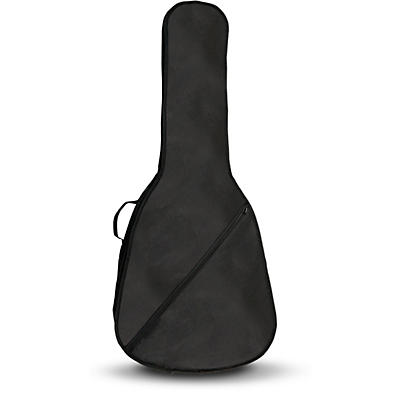 Road Runner Acoustic Guitar Gig Bag in a Box -