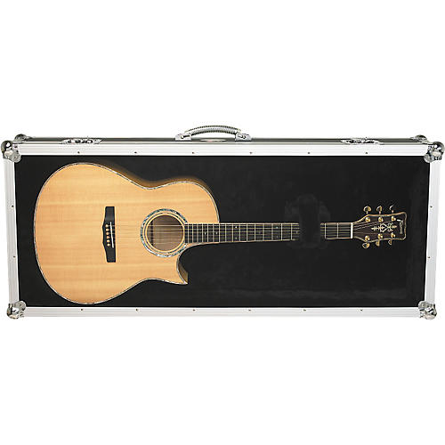 Acoustic Guitar Plexiglas Display Case