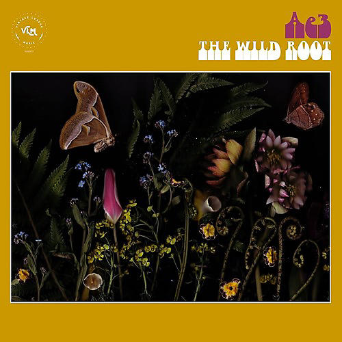 Ae3 (Alan Evans Trio) - The Wild Root