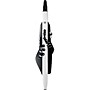 Open-Box Roland Aerophone AE-20 Digital Wind Instrument Condition 1 - Mint