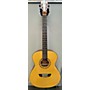 Used Washburn Af5k Acoustic Guitar Natural