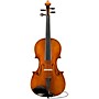 Eastman Albert Nebel VA601 Series+ Viola Outfit With Case and Bow 15 in.