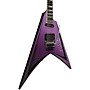 ESP Alexi Laiho Ripped Electric Guitar Ripped Graphic E3021232