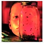 Sony Alice in Chains - Jar of Flies